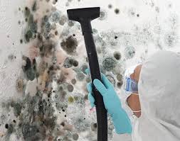 Professional Mold Remediation in Pilot Mountain, NC